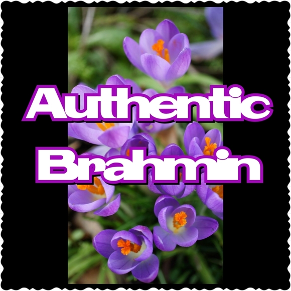 ///SOLD/// (((Authentic))) Brahmin Shoulder Bag - Picture 5 of 6